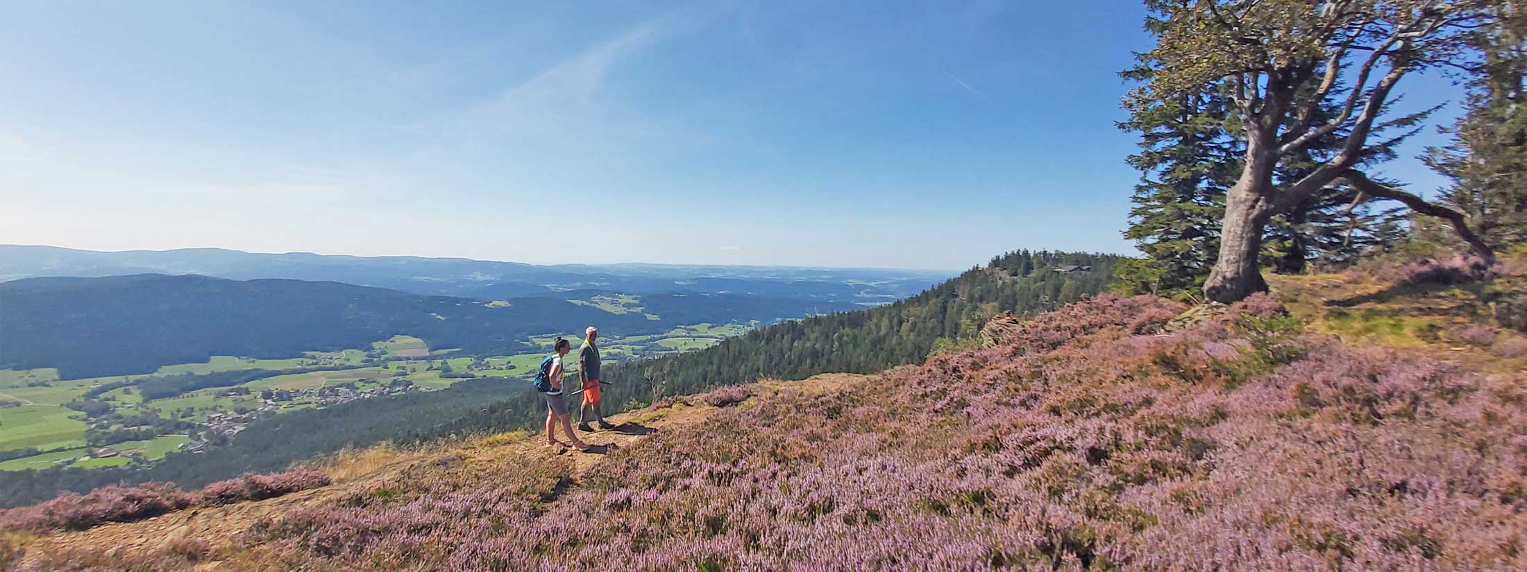 Wanderer auf dem Berg