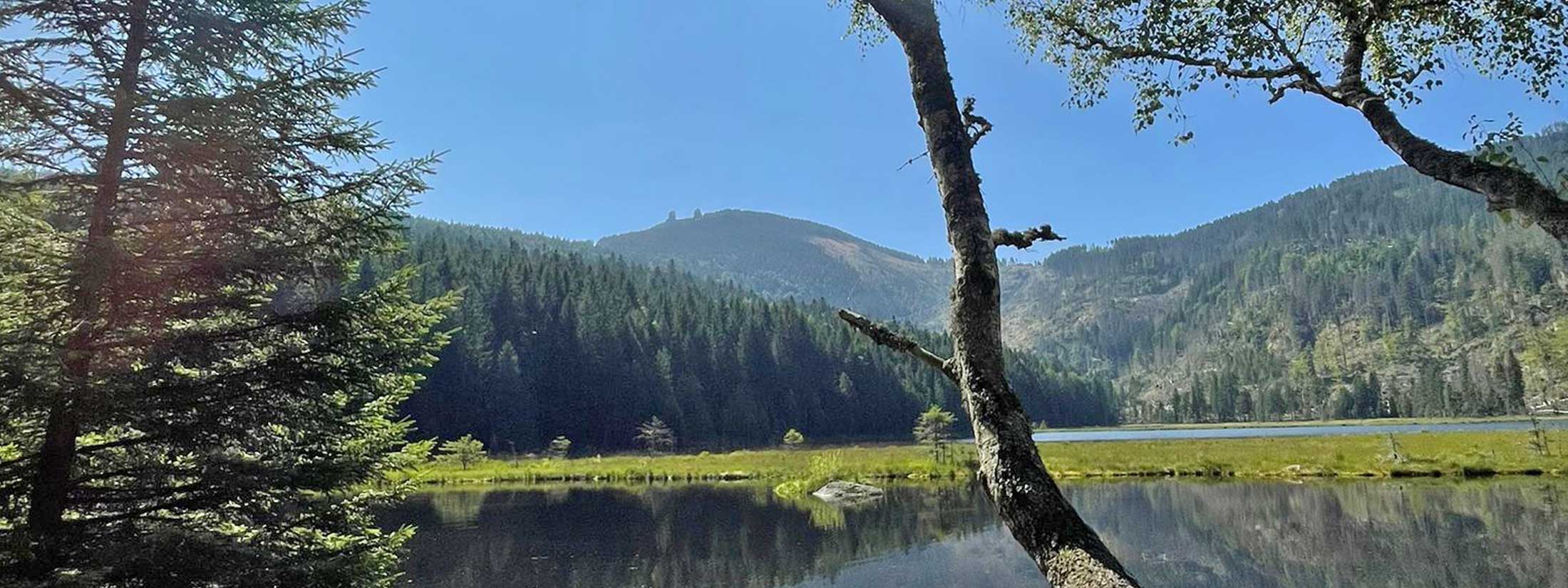 Arbersee