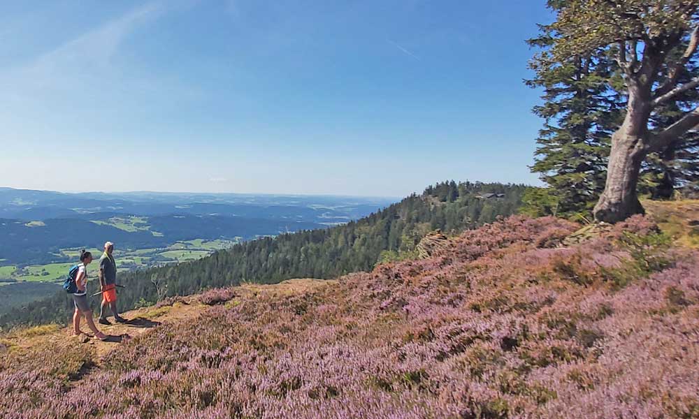 Wanderer auf dem Berg